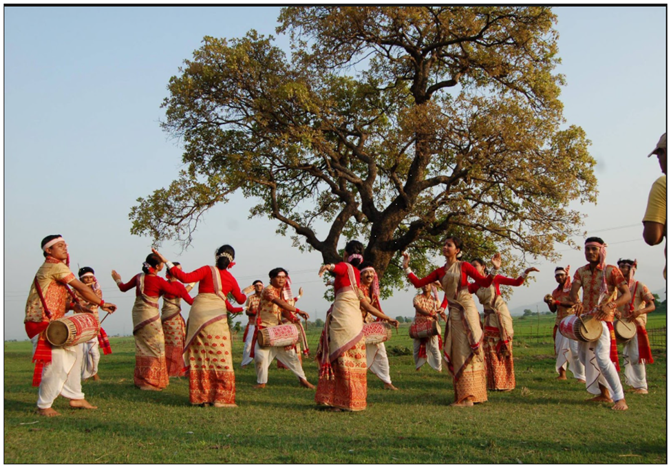 বোহাগ বিহু ২০২৬: উৎসবের আনন্দ ছাড়িয়ে আসামের নবজীবনের বার্তা কোথায়?