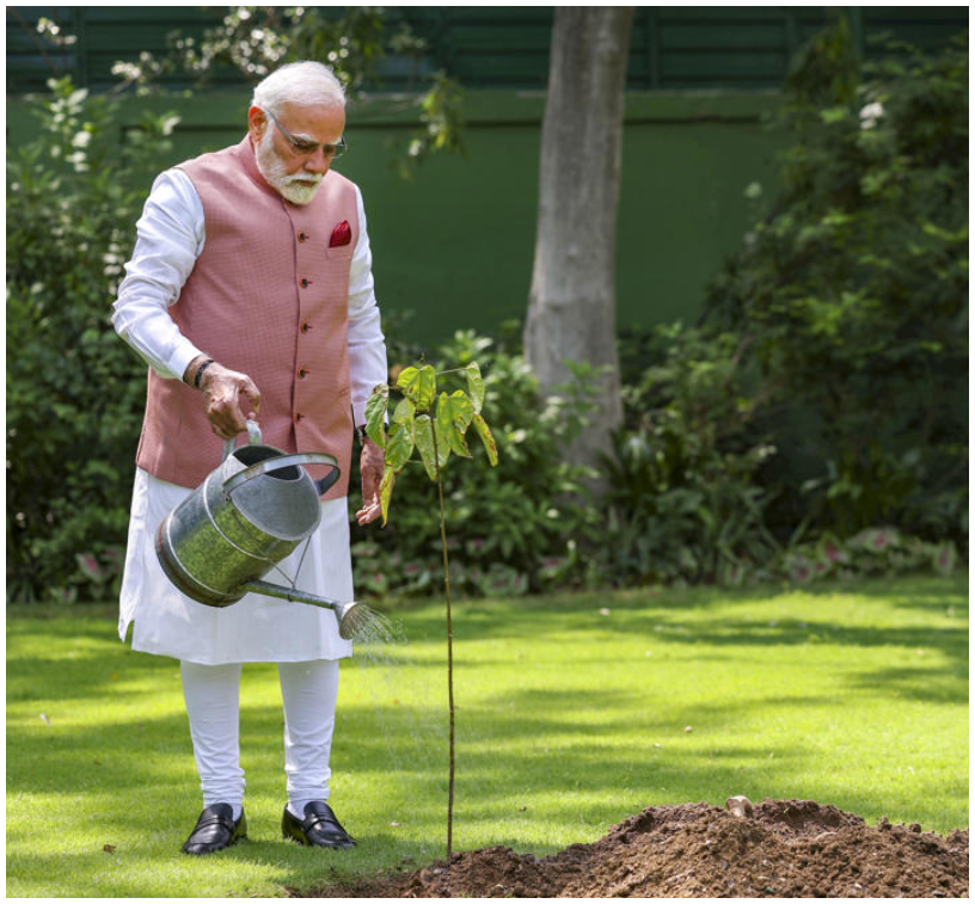বিশ্ব পরিবেশ দিবস মোদি বার্তা: পরিবেশ রক্ষায় সম্মিলিত উদ্যোগের ডাক